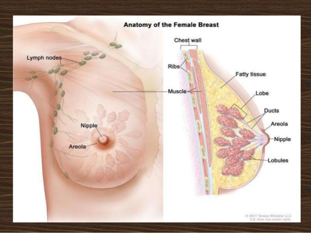 breast cancer mass feel tumor Bisexual pussy movies